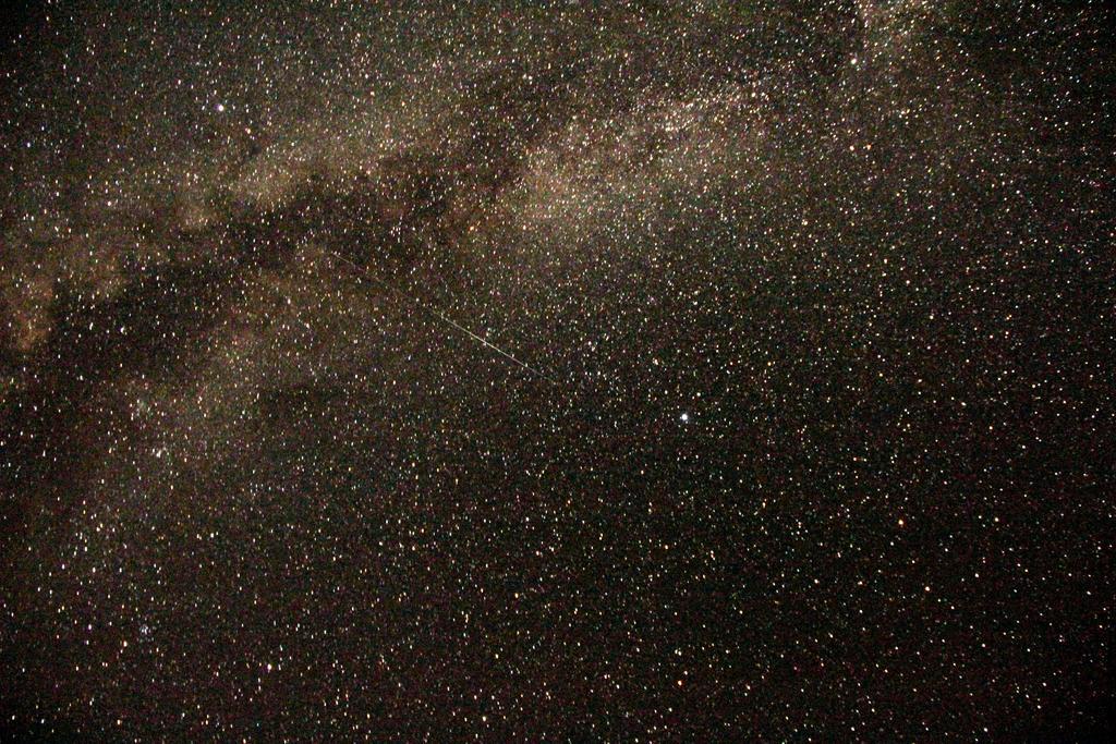 Wadi Rum Sleep Under The Stars Εξωτερικό φωτογραφία