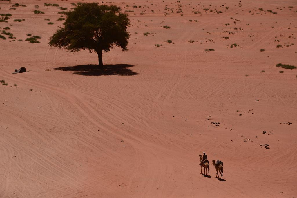 Wadi Rum Sleep Under The Stars Εξωτερικό φωτογραφία