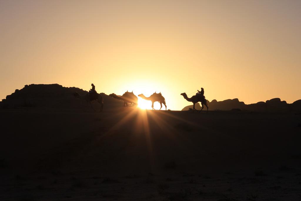 Wadi Rum Sleep Under The Stars Εξωτερικό φωτογραφία